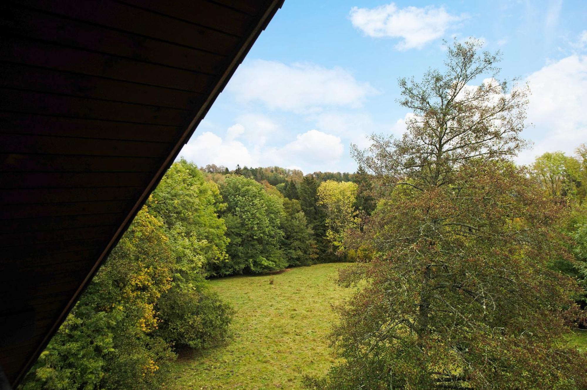 Landhaus am Schmiedebach Wittenschwand Exterior foto