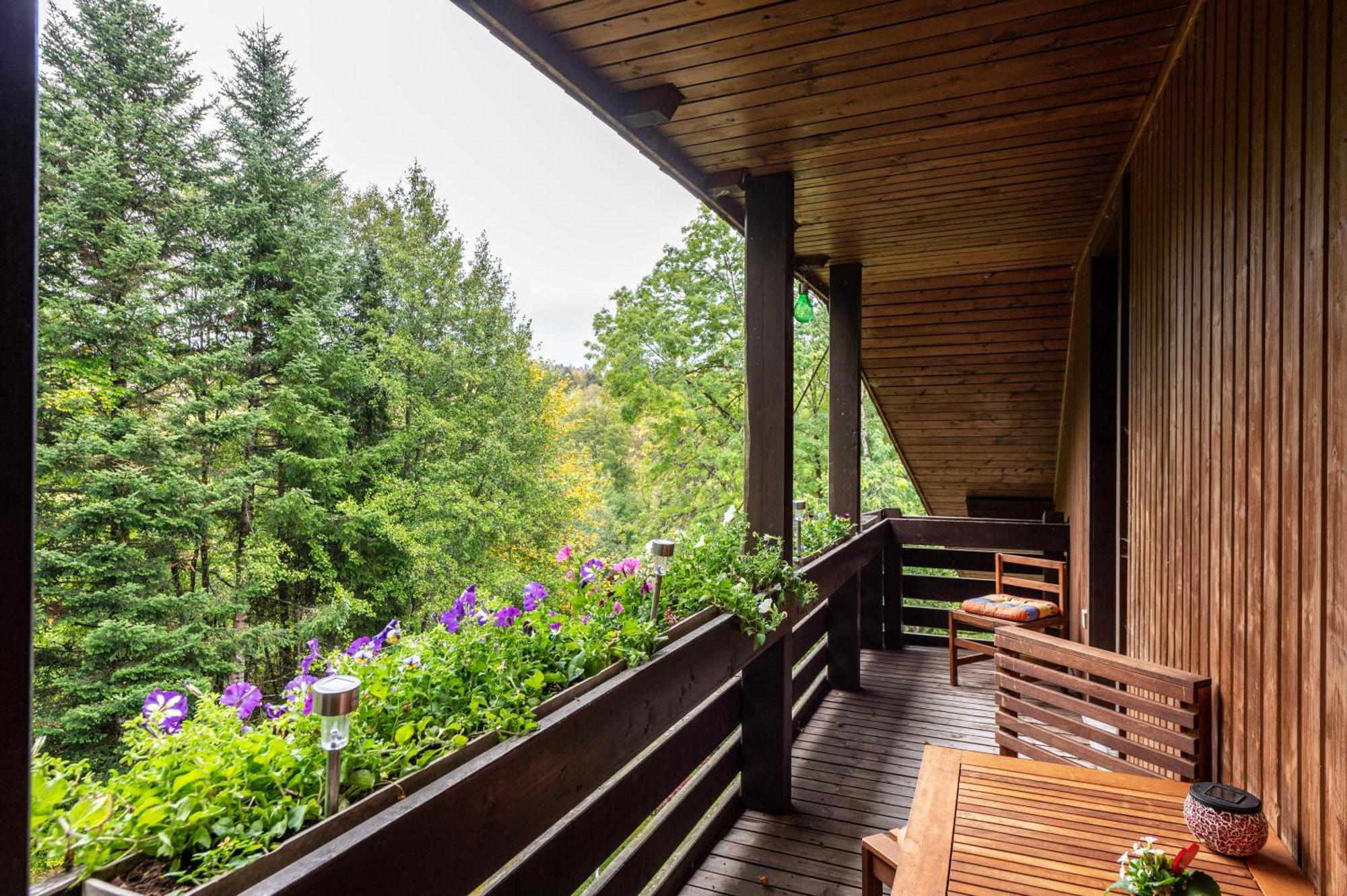 Landhaus am Schmiedebach Wittenschwand Exterior foto